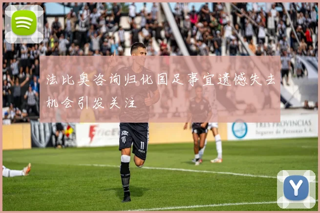 法比奥咨询归化国足事宜遗憾失去机会引发关注