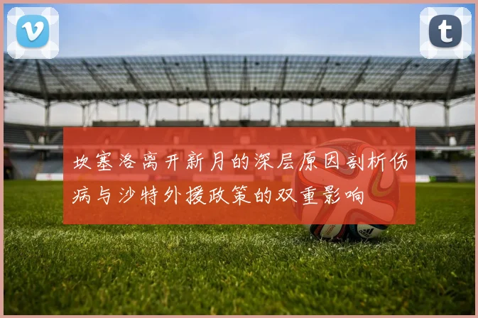 坎塞洛离开新月的深层原因剖析伤病与沙特外援政策的双重影响